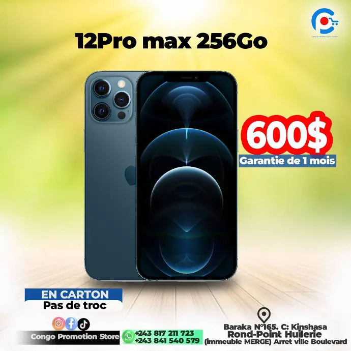 Iphon 12 pro max 256Go